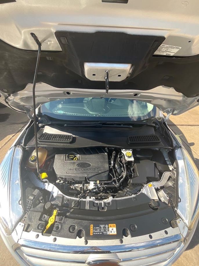 Vehicle view 19