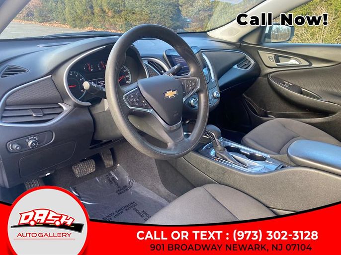 Vehicle view 11