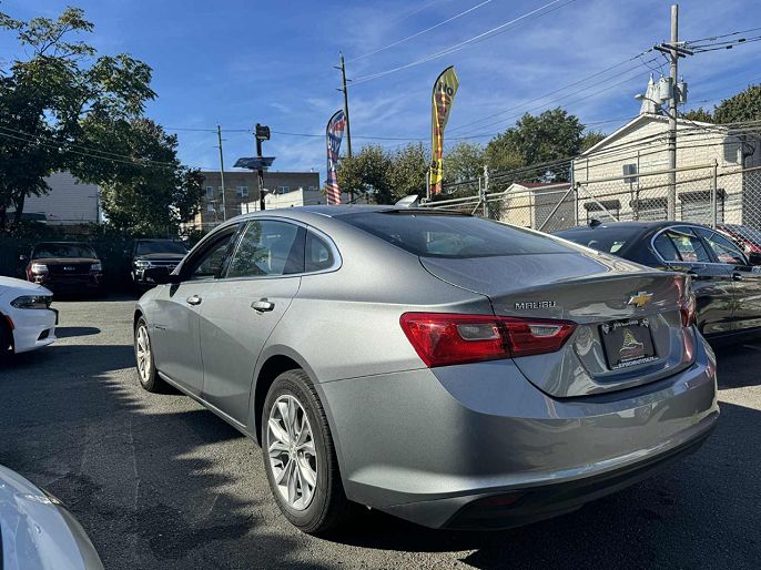 Vehicle view 11