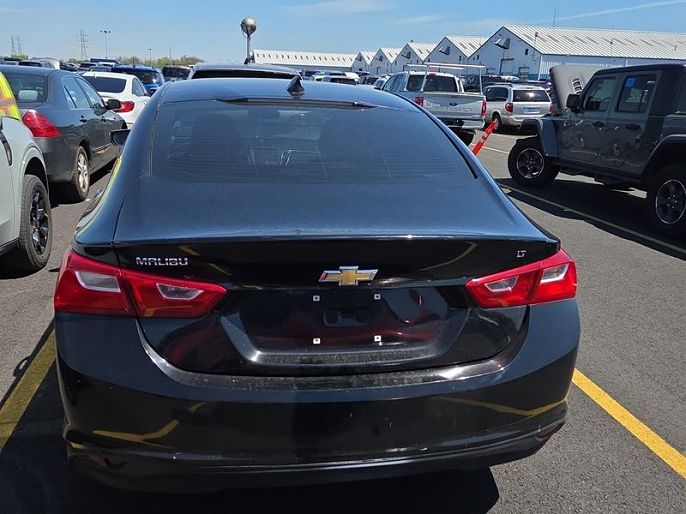 Vehicle view 7