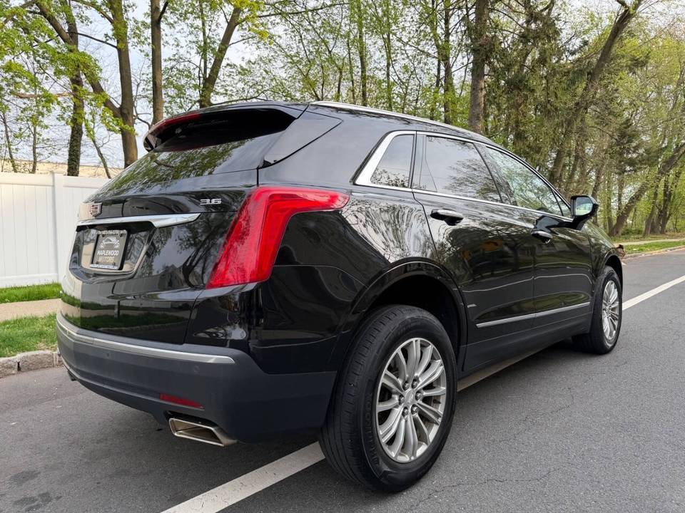 Vehicle view 7