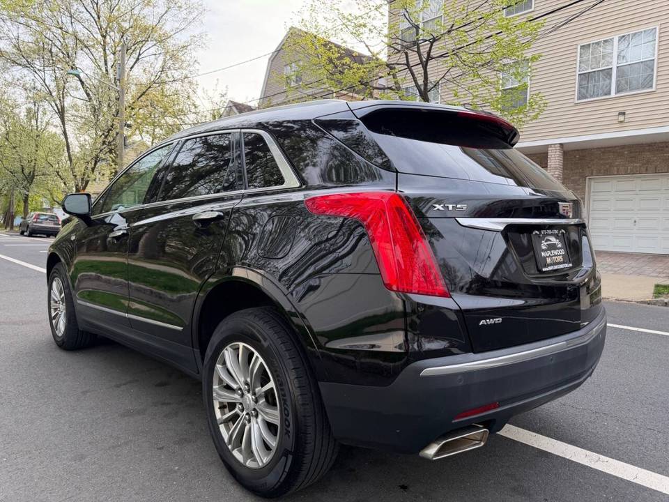 Vehicle view 8