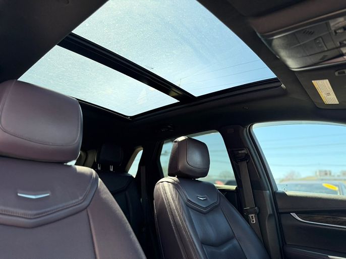 Vehicle view 13